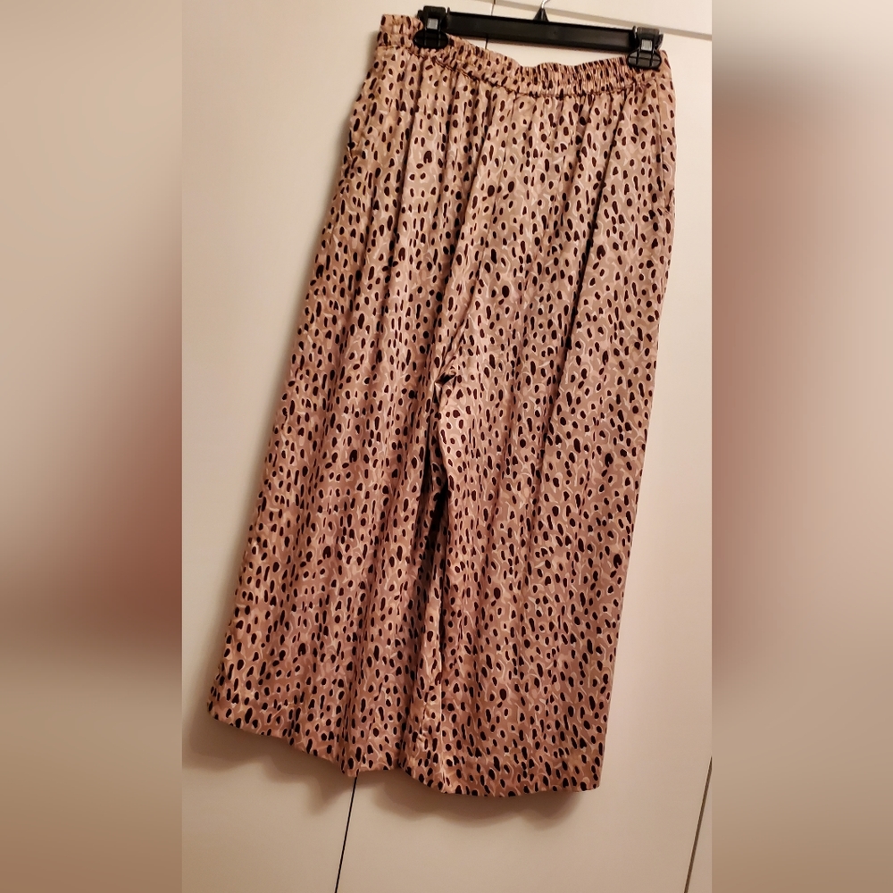 ANTHROPOLOGIE Isobel Pleated Wide-Leg cropped pants, size ML